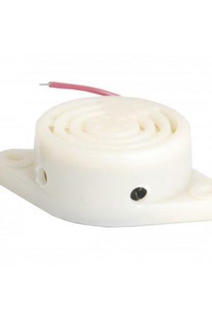 acces control buzzer